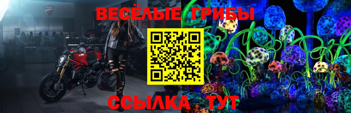 Галлюциногенные грибы MAGIC MUSHROOMS  Вход с VPN  Галлюциногенные грибы Magic Shrooms  Калач-на-Дону 